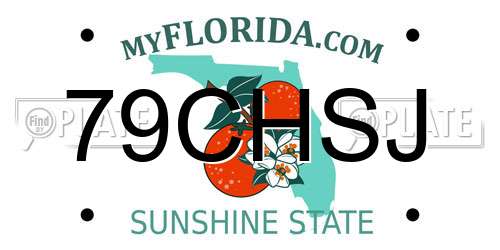 79CHSJ Florida License Plate