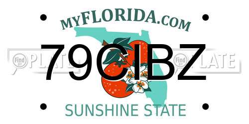 79CIBZ Florida License Plate