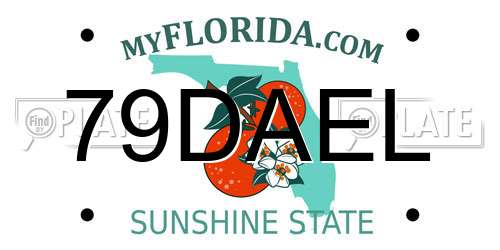 79DAEL Florida License Plate