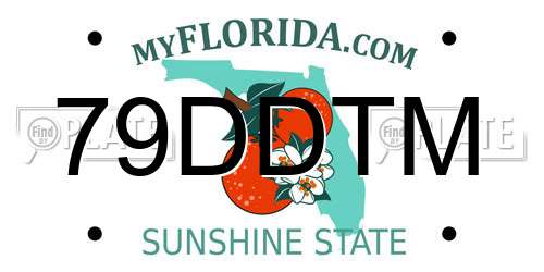 79DDTM Florida License Plate