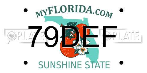 79DEF Florida License Plate