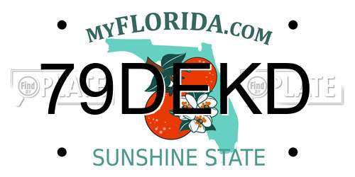 79DEKD Florida License Plate