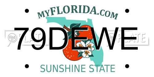 79DEWE Florida License Plate