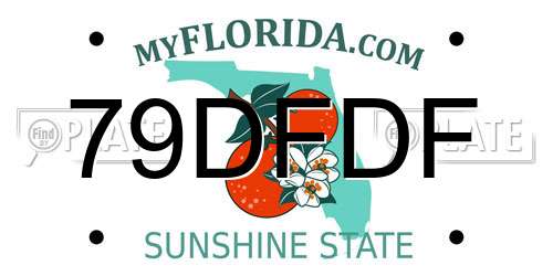 79DFDF Florida License Plate