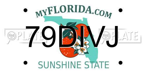 79DIVJ Florida License Plate