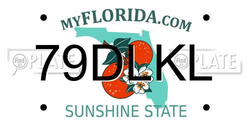 79DLKL Florida License Plate