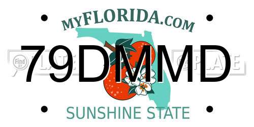 79DMMD Florida License Plate