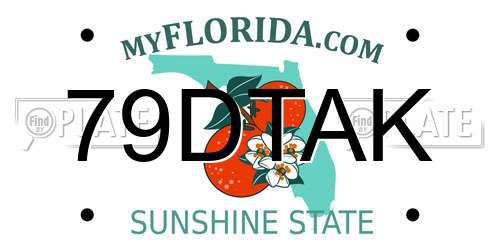 79DTAK Florida License Plate