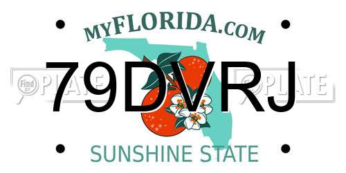 79DVRJ Florida License Plate