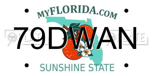 79DWAN Florida License Plate