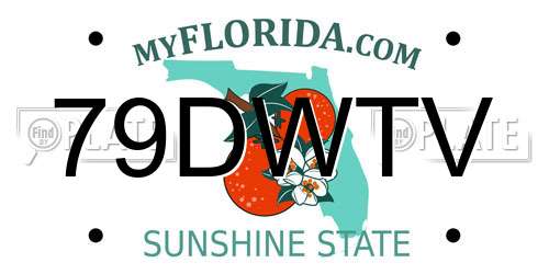 79DWTV Florida License Plate