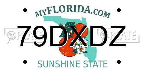79DXDZ Florida License Plate