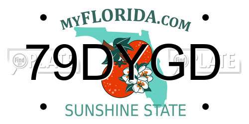 79DYGD Florida License Plate
