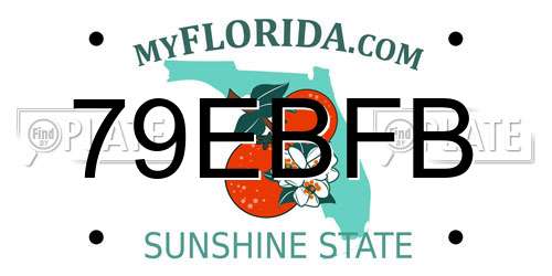 79EBFB Florida License Plate