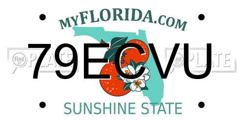 79ECVU Florida License Plate