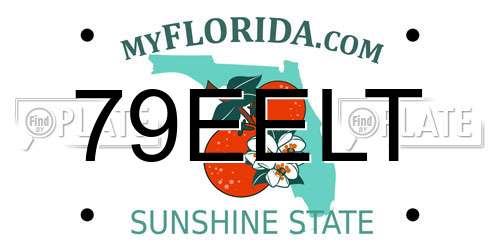 79EELT Florida License Plate