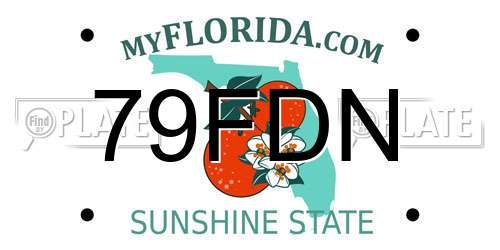 79FDN Florida License Plate
