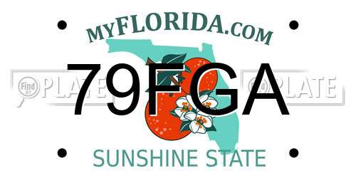 79FGA Florida License Plate