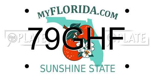 79GHF Florida License Plate