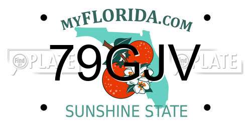 79GJV Florida License Plate