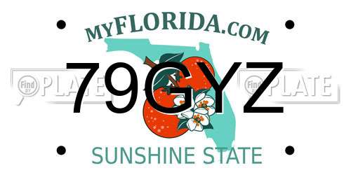 79GYZ Florida License Plate