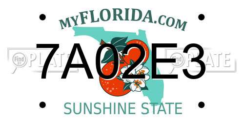 7A02E3 Florida License Plate