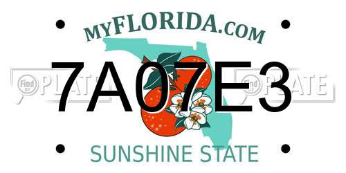 7A07E3 Florida License Plate