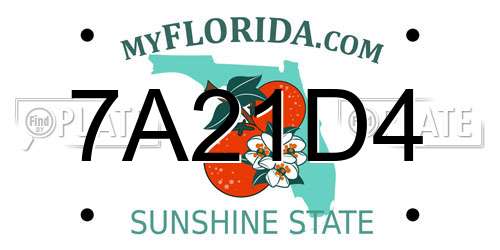 7A21D4 Florida License Plate