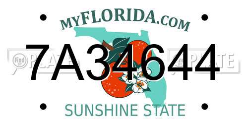 7A34644 Florida License Plate