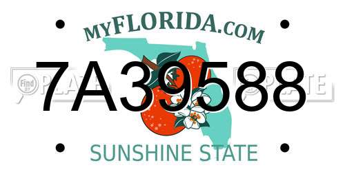 7A39588 Florida License Plate