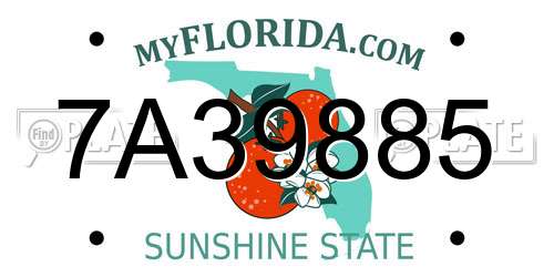 7A39885 Florida License Plate