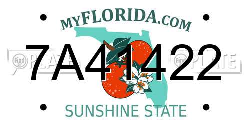 7A41422 Florida License Plate