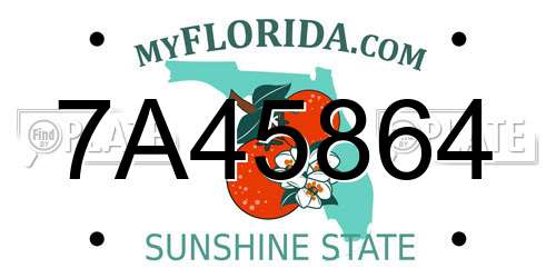 7A45864 Florida License Plate