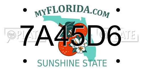 7A45D6 Florida License Plate