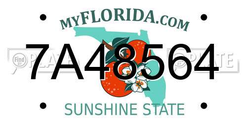 7A48564 Florida License Plate