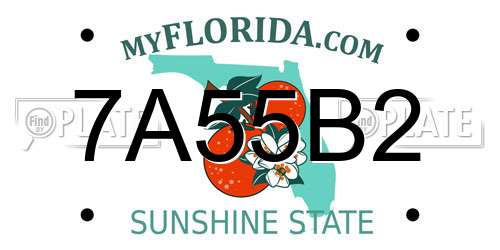 7A55B2 Florida License Plate