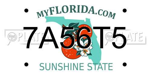 7A56T5 Florida License Plate