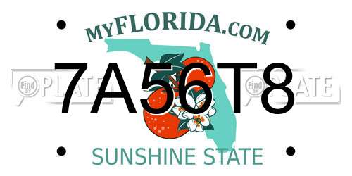 7A56T8 Florida License Plate