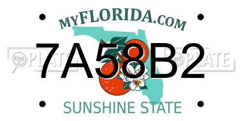 7A58B2 Florida License Plate