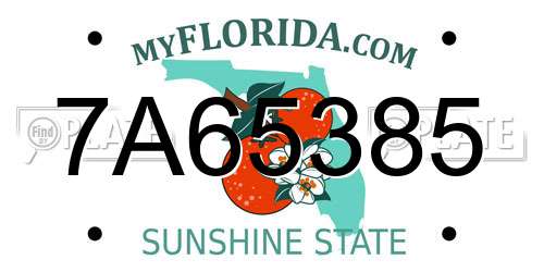 7A65385 Florida License Plate