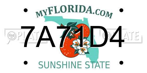 7A71D4 Florida License Plate