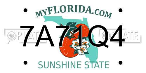 7A71Q4 Florida License Plate
