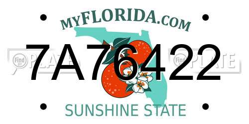 7A76422 Florida License Plate