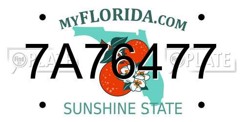 7A76477 Florida License Plate
