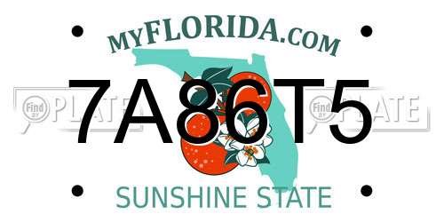 7A86T5 Florida License Plate