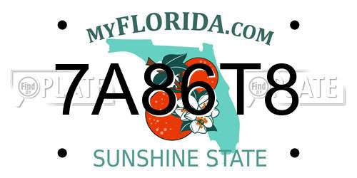 7A86T8 Florida License Plate