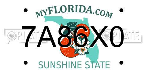 7A86X0 Florida License Plate