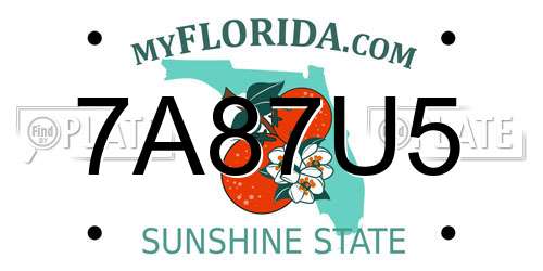 7A87U5 Florida License Plate