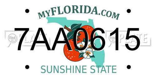 7AA0615 Florida License Plate