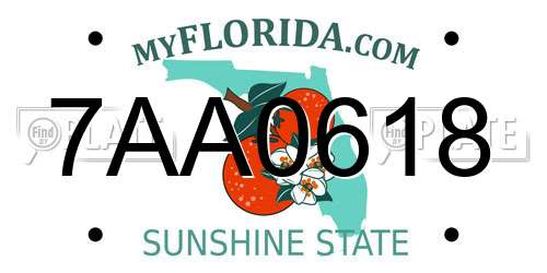 7AA0618 Florida License Plate